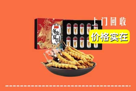 太原万柏林区回收冬虫夏草